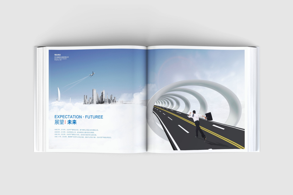 港闸区画册设计